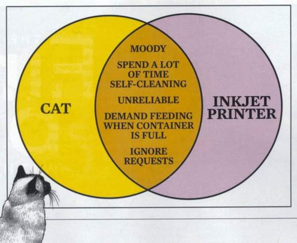 Cat or printer diagram